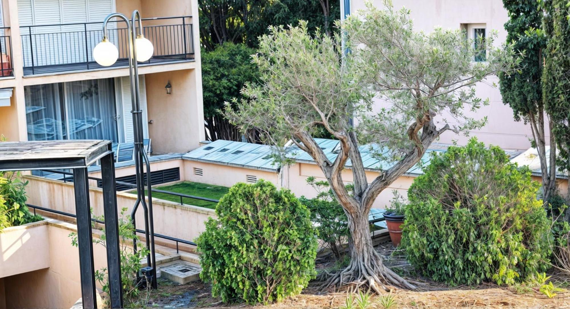 Precioso Apartamento Reformado En 1Ra Linea De Mar Sin Vistas Calella De Palafrugell Room photo